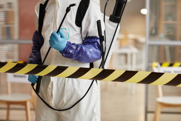 Professional Sewage Cleanup technician working in Paauilo, HI